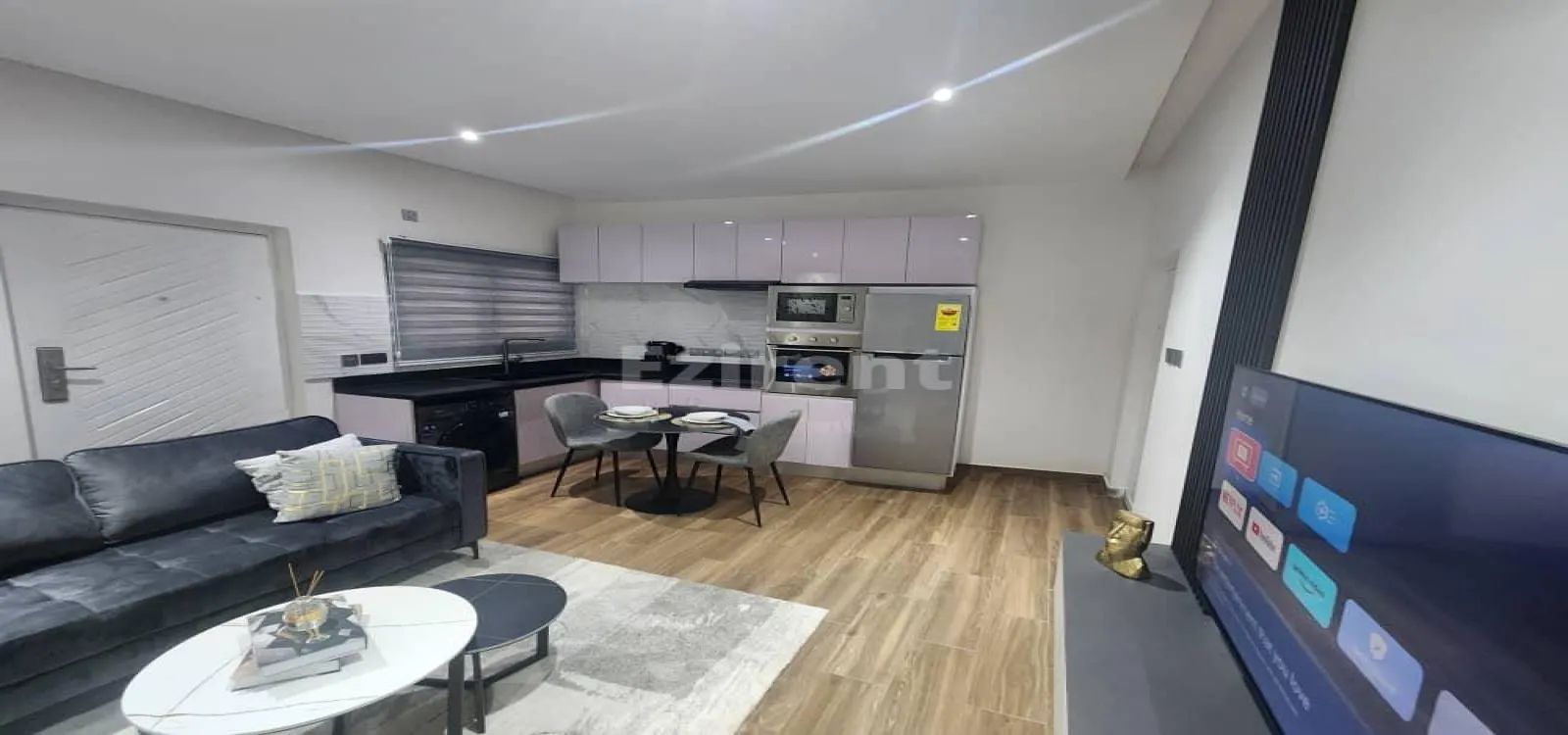 Furnished 1-Bedroom Studio Apartment - 3